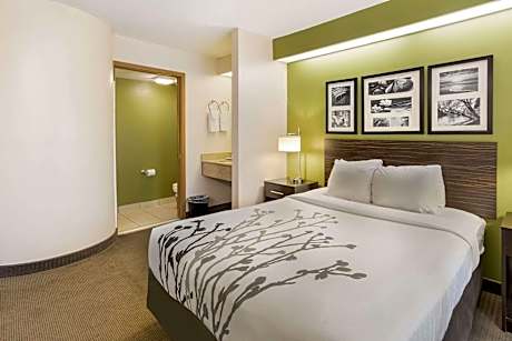 Queen Room - Non-Smoking