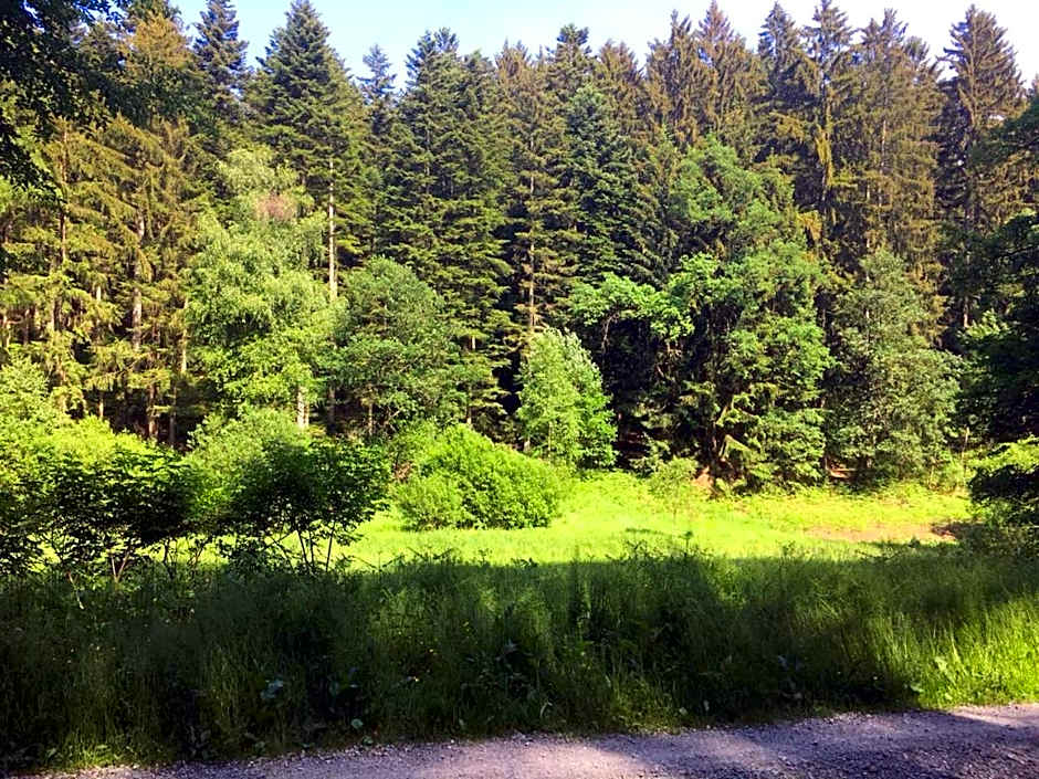 Natur & Wander Hotel Gassbachtal