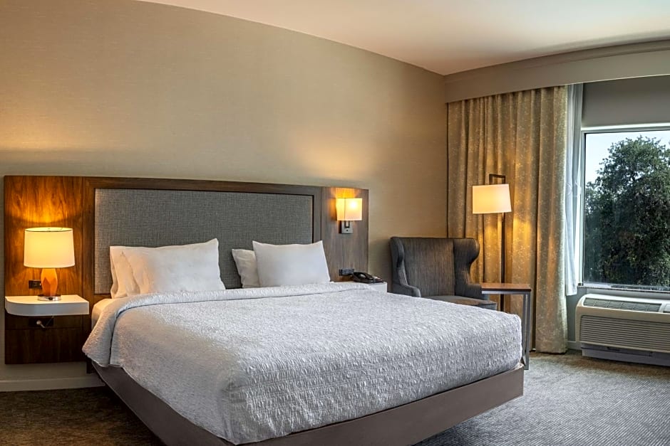 Hampton Inn By Hilton & Suites Boerne