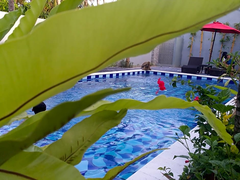 Palm Bamboo Hotel