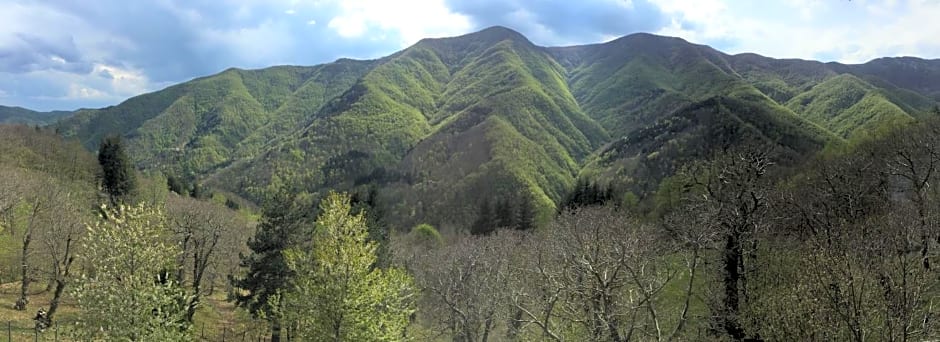 Albergo Ristorante La Selva