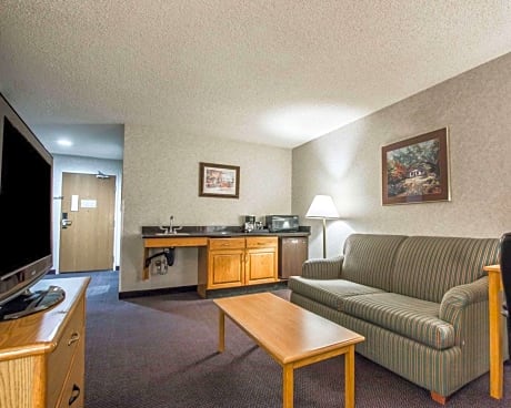 1 King Bed, Suite, Nonsmoking, Accessible