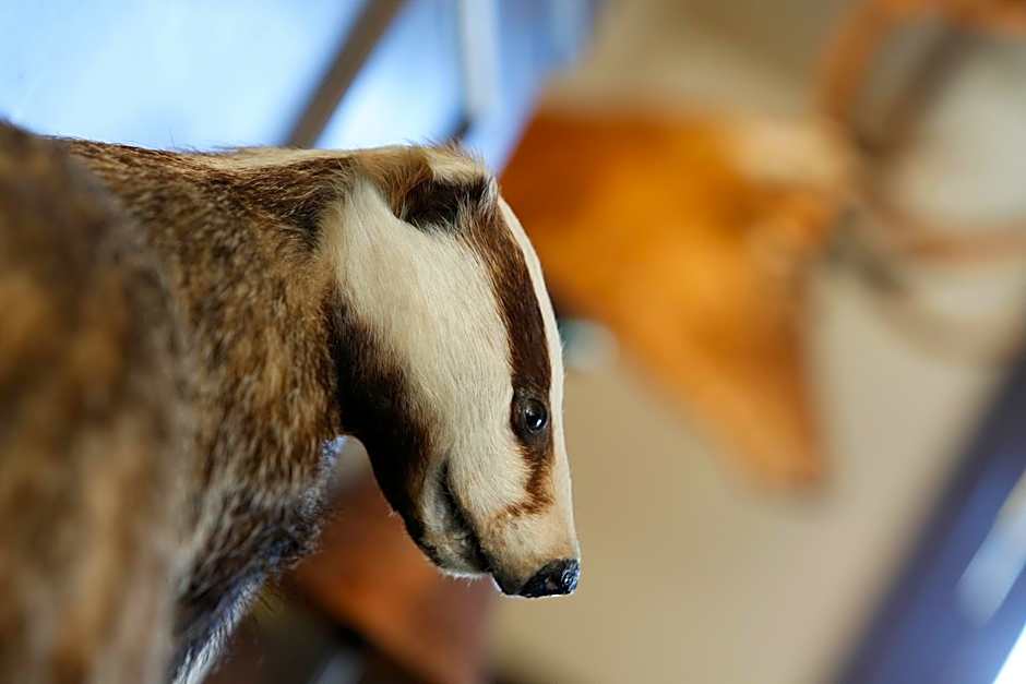 Best Western Crianlarich Hotel