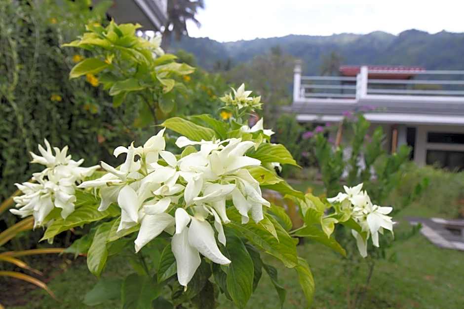 Villa Markisa Pakisan