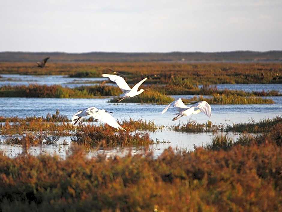 Ria Park Hotel & Spa