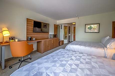 Standard Double Room with Two Double Beds