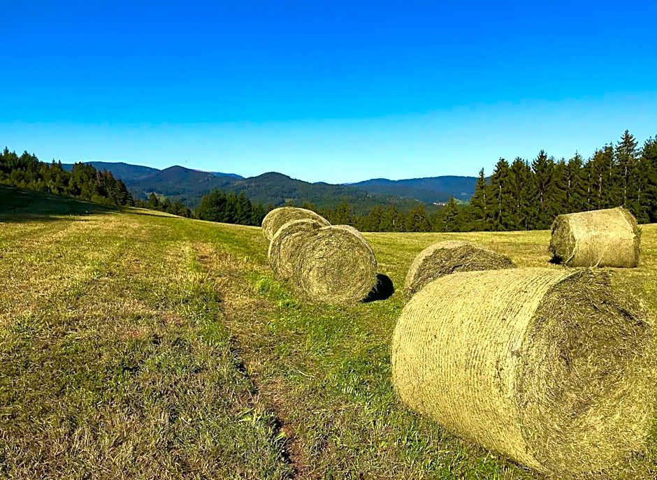 Genusshotel Hirschen - Erholung im Grünen (Südschwarzwald)