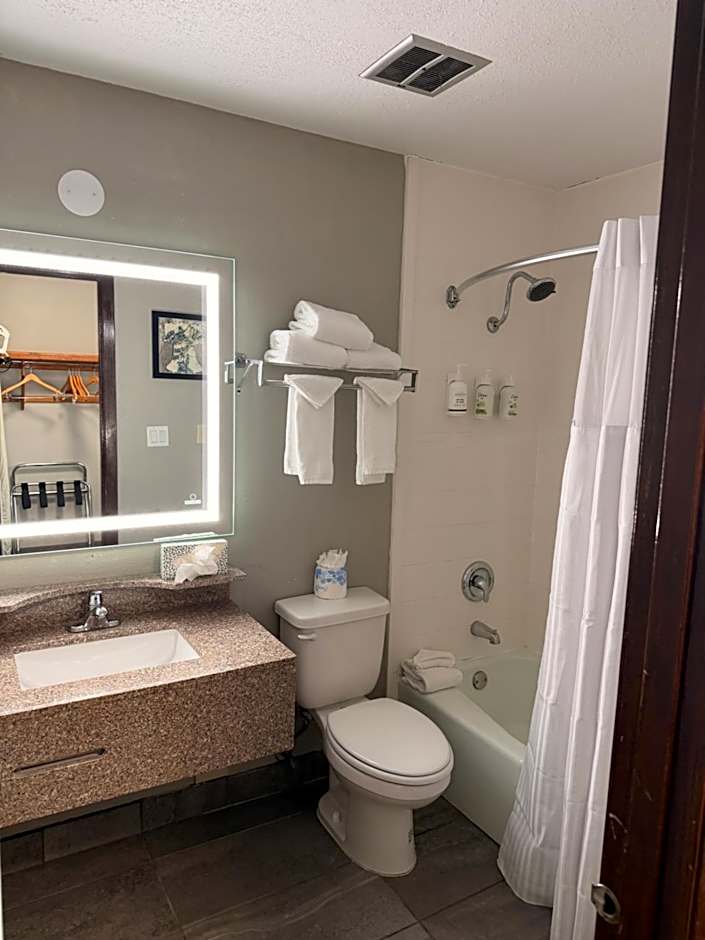 AmericInn by Wyndham Appleton Downtown