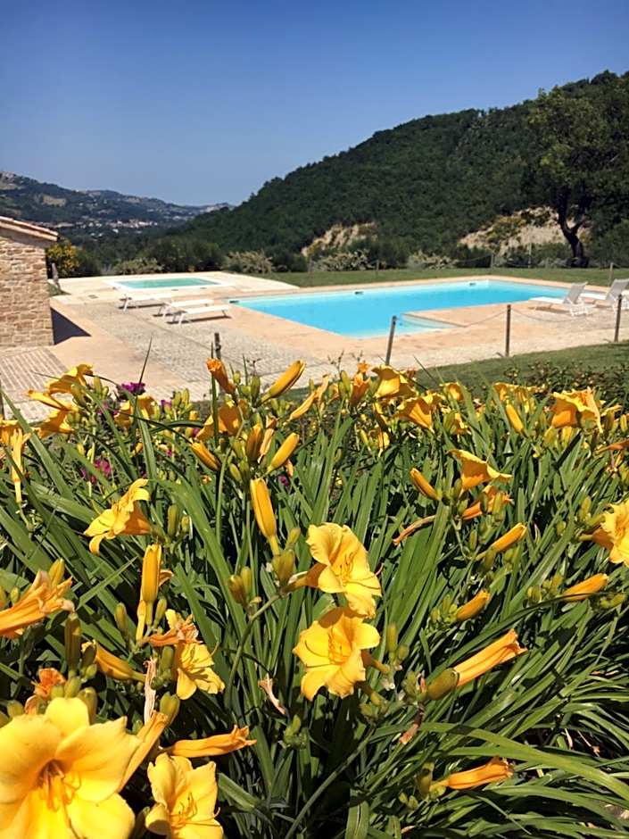 Amico Country House