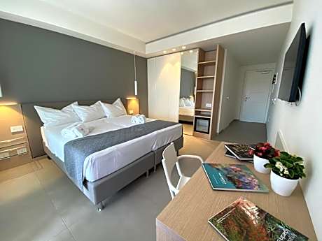 Superior Double or Twin Room with Terrace