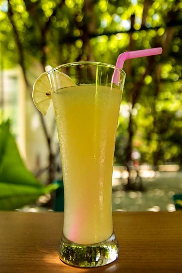 Basaranlar Thermal Otel