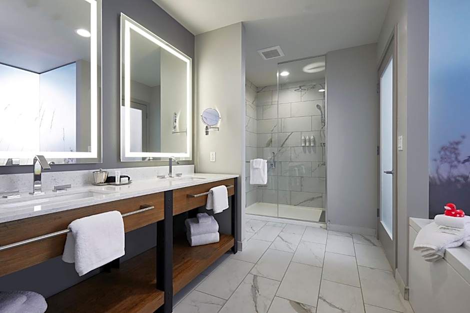 Archer Hotel Tysons