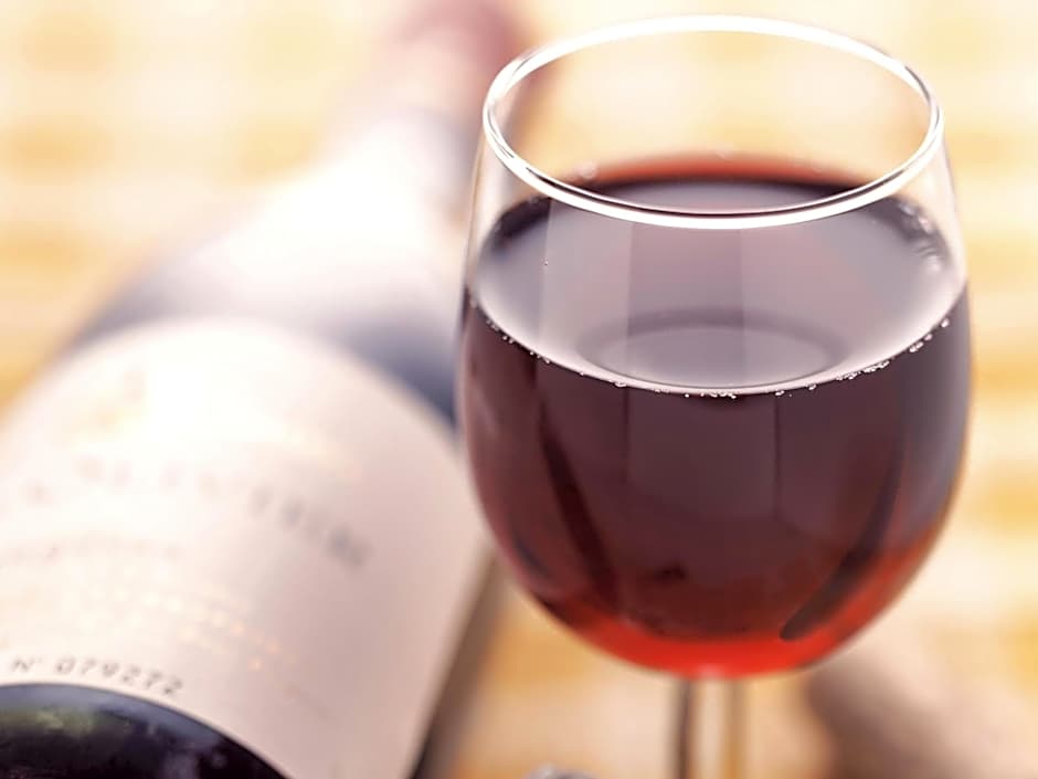 ibis Chalon Sur Saone Nord