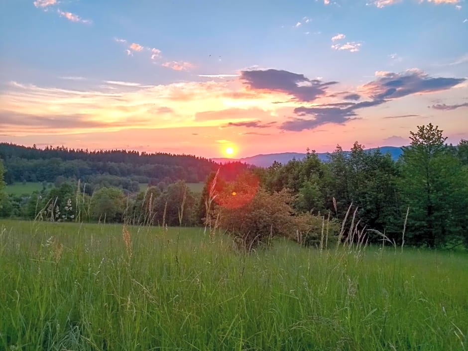 Wierzbowy Jar - Natura Spokój Sauna Kominek Karkonosze