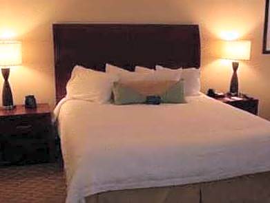 1 King Bed Junior Suite