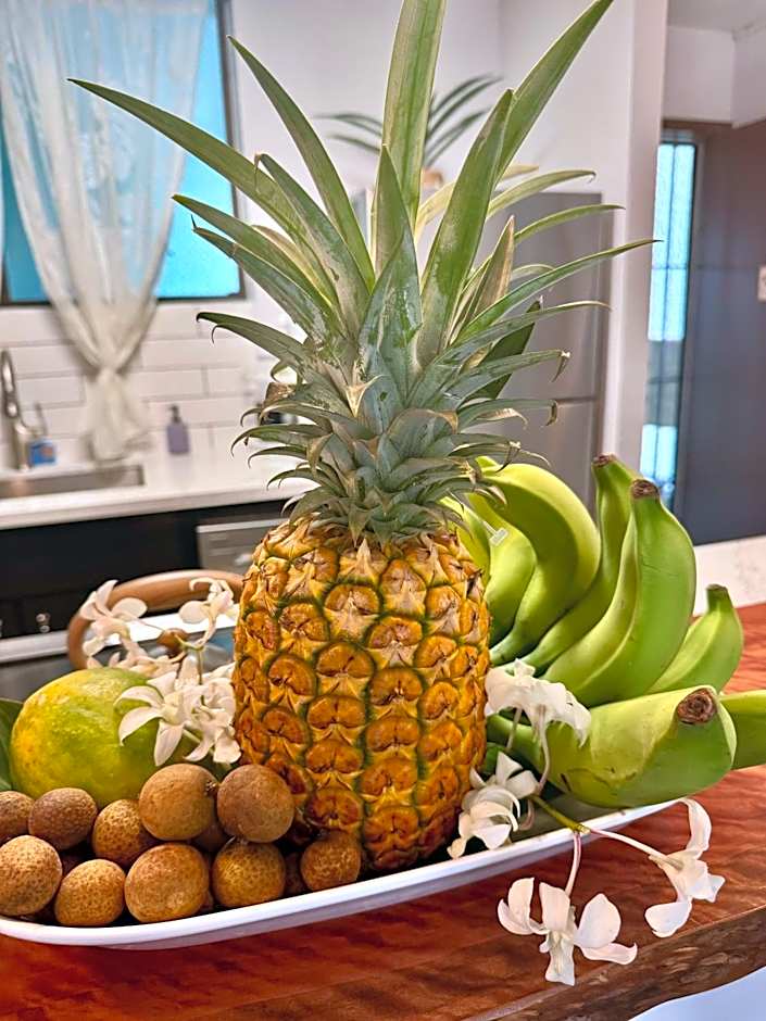 Ocean view Mauna Loa Shores Kai Ekahi #201 next to Carlsmith Beach Park Hilo HI