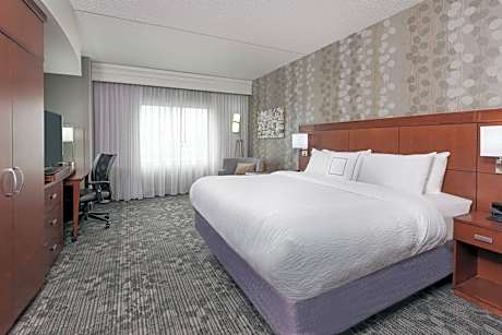 Room, 1 King Bed with Sofa bed (1 King Bed and 1 Double Sofa Bed)