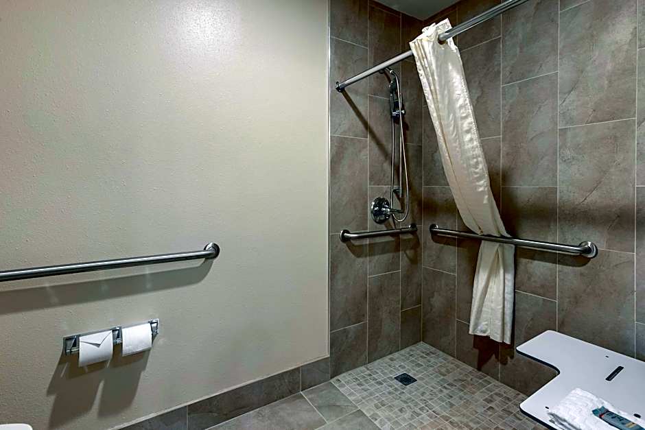 Photo 1 of 9 of 1 King Bed, Mobility Accessible, Bathtub, Patio