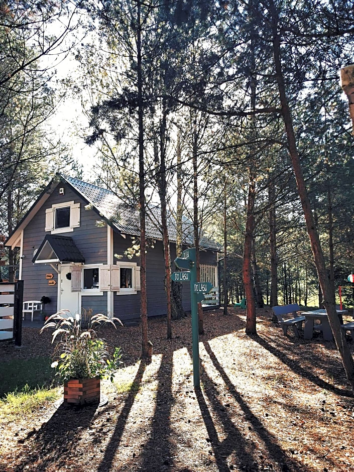 Domki Między Drzewami