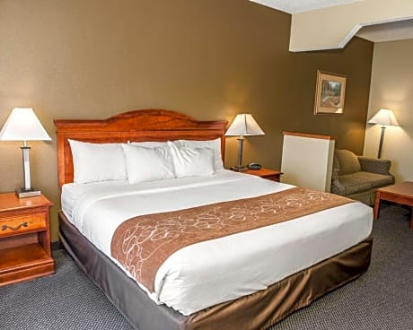 1 King Bed, Suite, Nonsmoking, Accessible