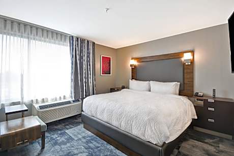 Studio, 1 King Bed with Sofa bed (1 King Bed and 1 Double Sofa Bed)