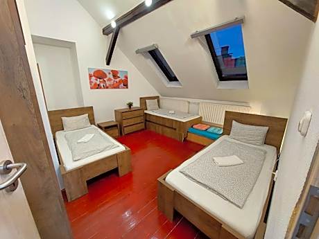 Triple Room with Shared Bathroom