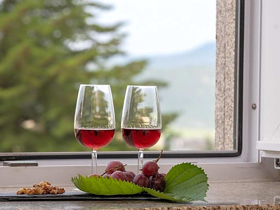 Pousada Barao de Forrester