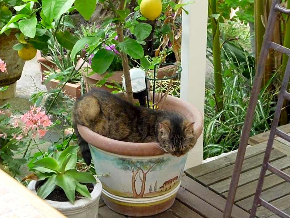 Logis Hôtel Villa Victorine