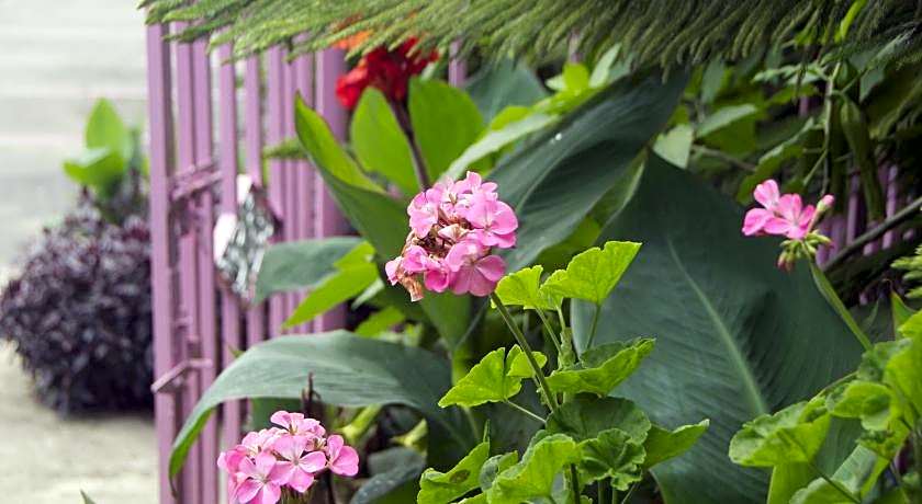 Nabalu Kundasang Lodge