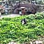 Oakenholt Farm Bed and Breakfast