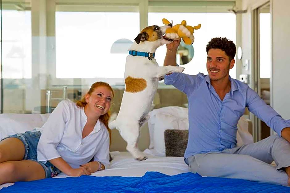 Hotel Dory