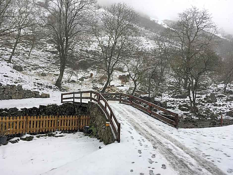Albergue Villa de Bulnes