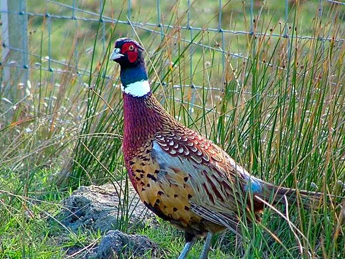 Baudins Accommodation