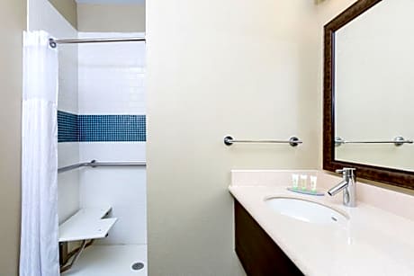 1 Bedroom Suite Mobility Accessible Roll in Shower