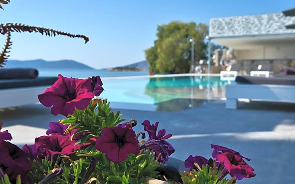 Dardiza Boutique Hotel