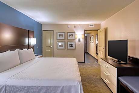 One-Bedroom King Suite with Sofa Bed