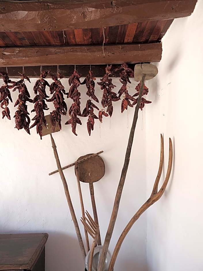 Hotel Nafarrola - Gastronomy & Wine