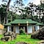 Neelakurunji Plantation Munnar