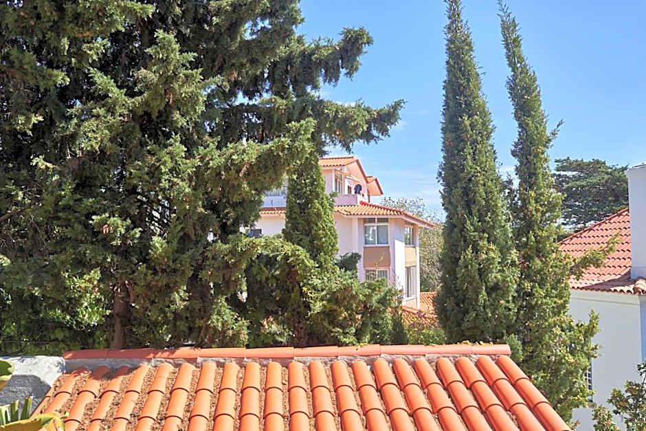 Ljmonade Hostel