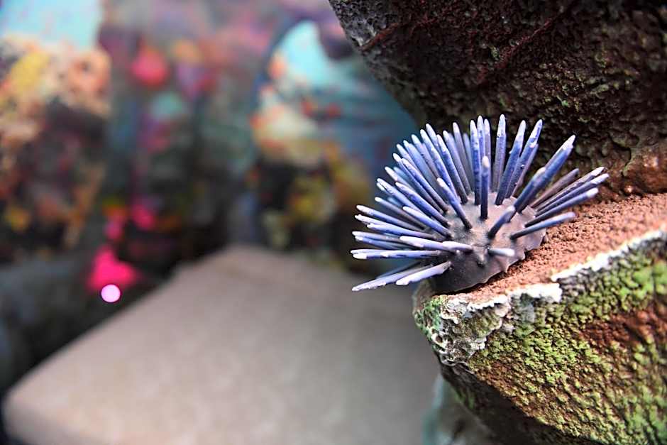 MagicSuite Guest House Roma Portuense