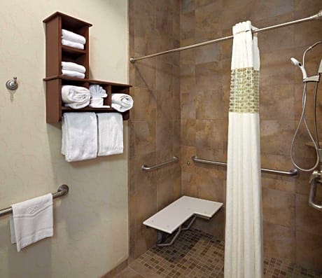 1 King Mobility Hearing Accessible Roll In Shower Non-Smoking Suite