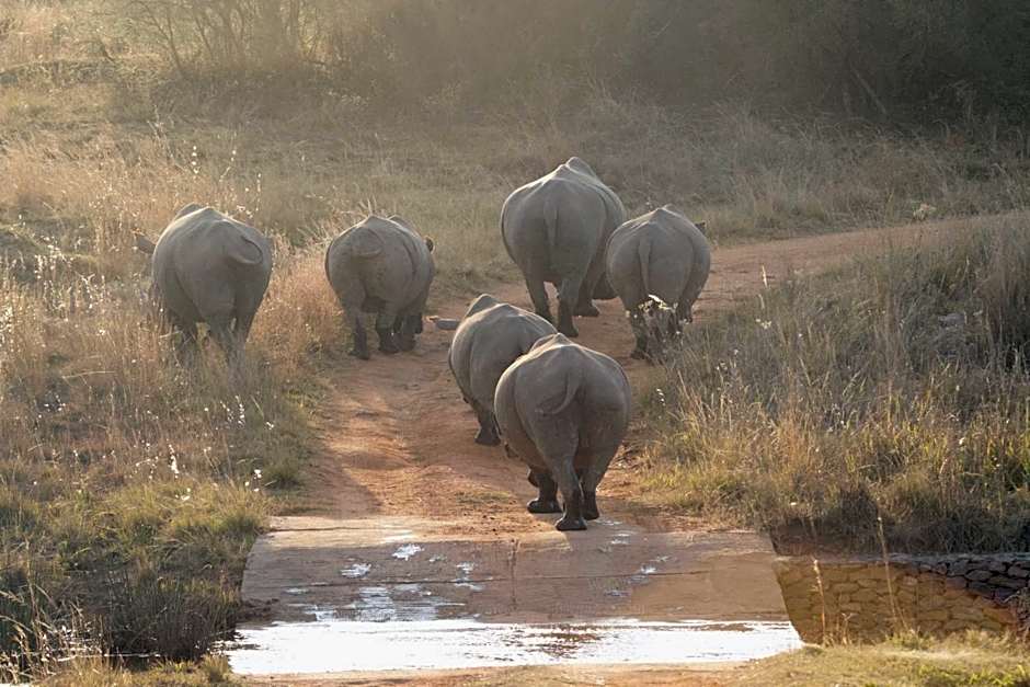 Inzalo Safari Lodge