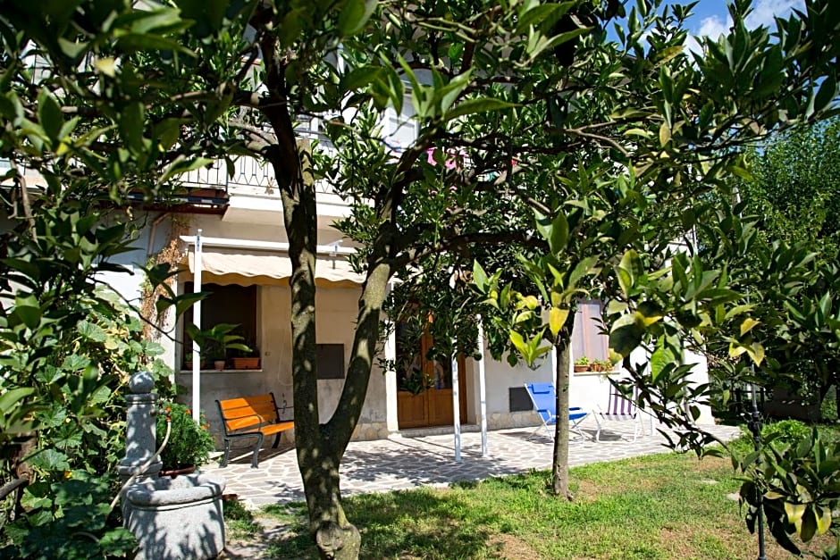 Il Moro Bianco