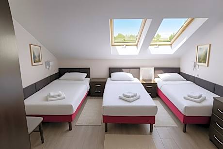 Triple Room with Private Bathroom