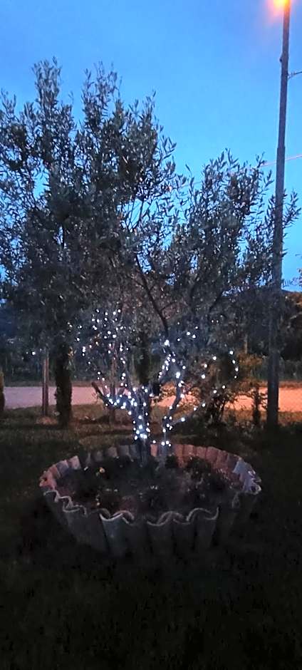 Agriturismo Macchia dei briganti - b&b
