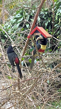 Casa Mara