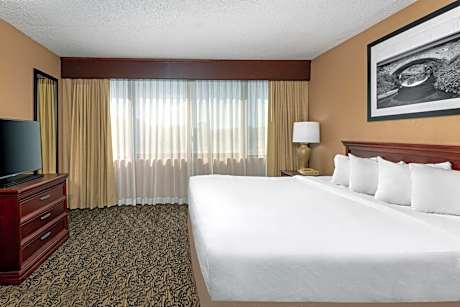 Executive King Suite