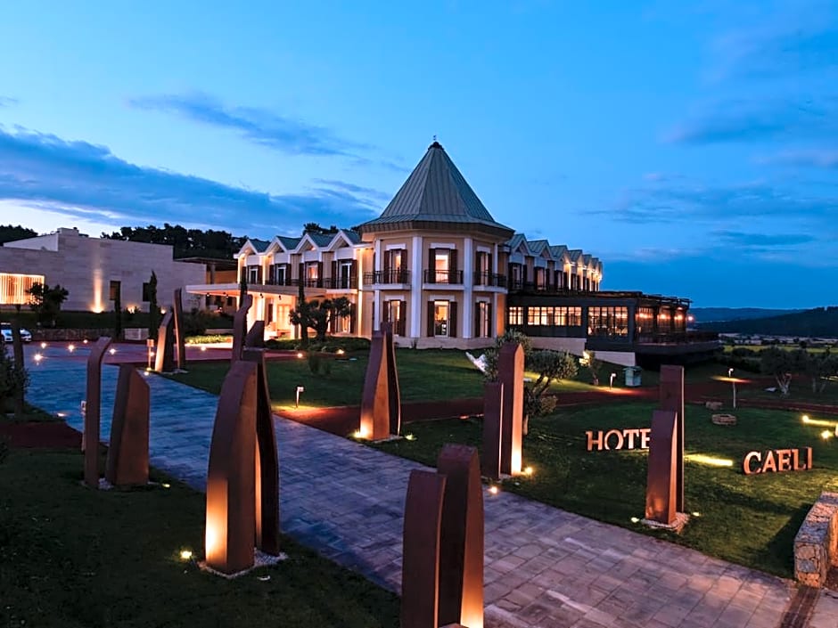 Hotel Caeli