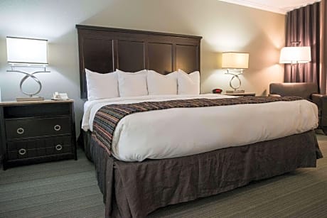 1 Bedroom Suite King Bed Non-Smoking