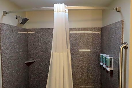 Suite-1 King Bed Non-Smoking Sofabed Microwave And Mini-Refrigerator Wi-Fi Full Breakfast